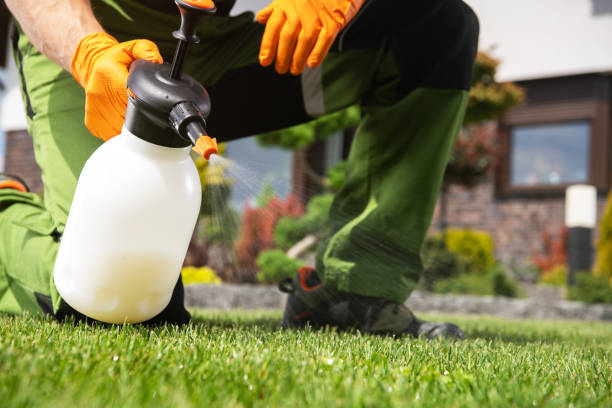 Best Bed Bug Extermination  in Fairmont, IL