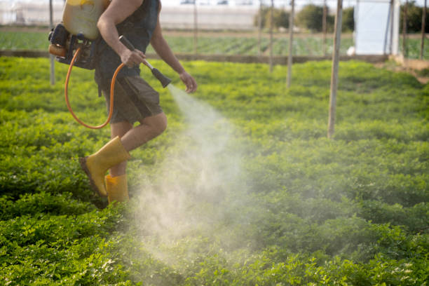 Best Affordable Exterminators  in Fairmont, IL