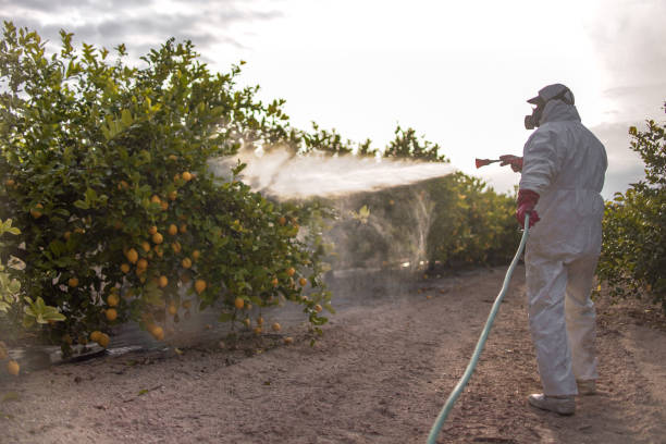 Best Pest Removal Services  in Fairmont, IL