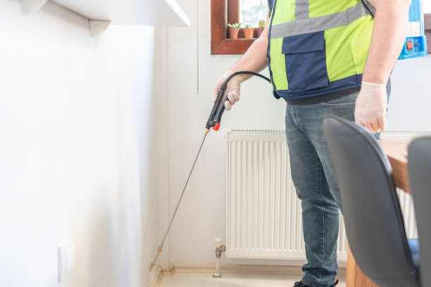Best Termite Control Services  in Fairmont, IL