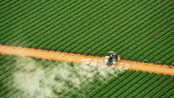 Best Commercial Pest Control Services  in Fairmont, IL