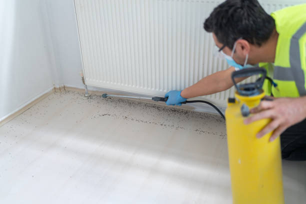 Best Pest Inspection Near Me  in Fairmont, IL